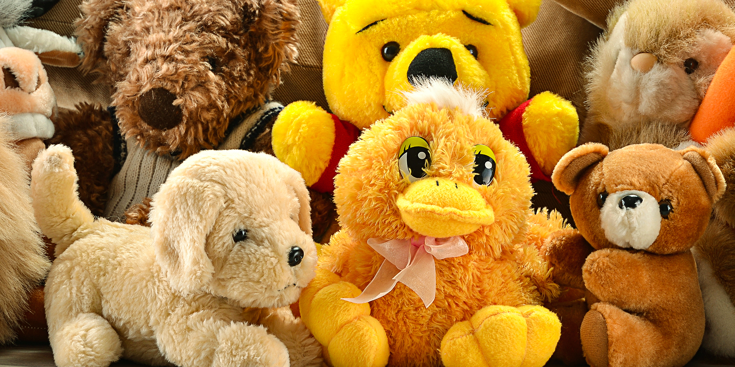 Assorted stuffed animals | Source: Shutterstock
