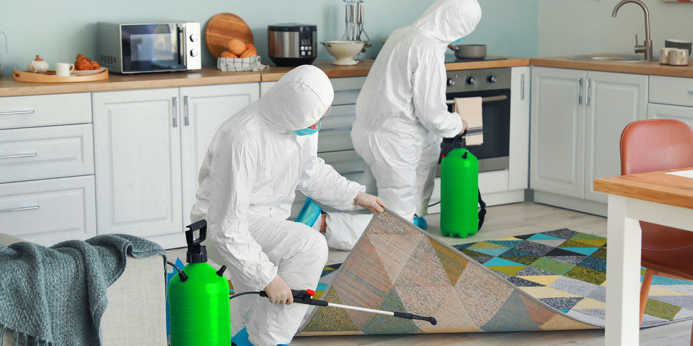 Professional fumigating a home | Source: Getty Images