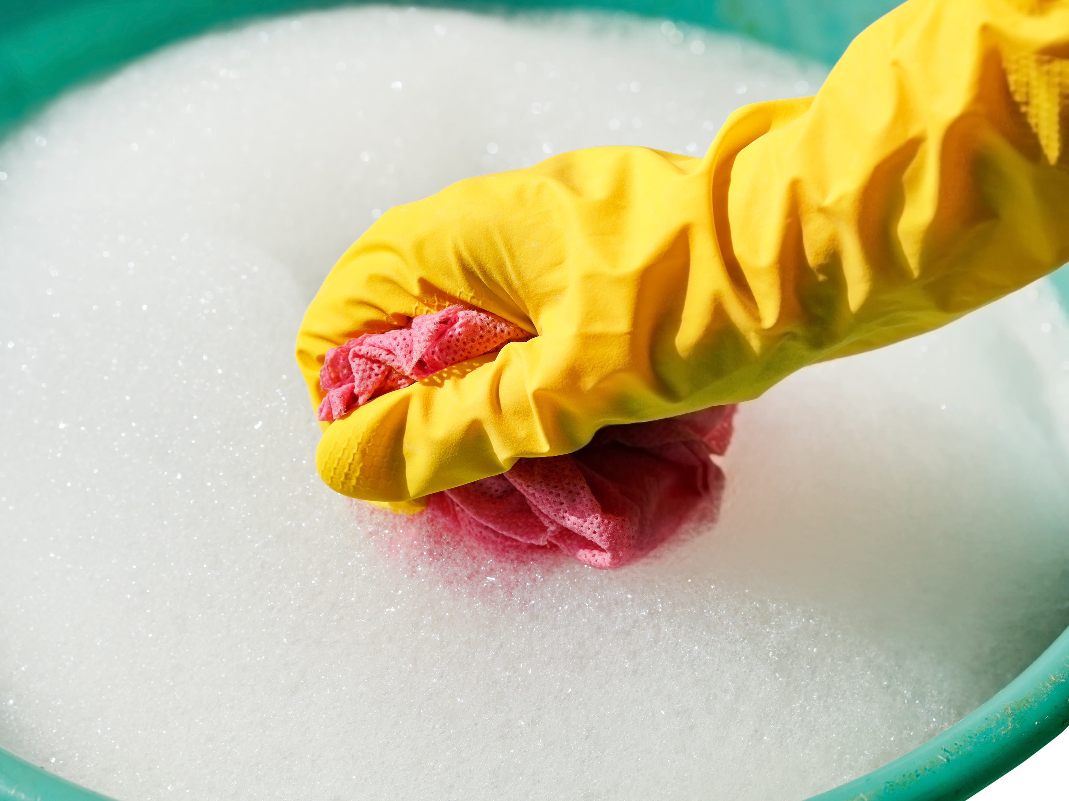 Lightly squeeze some of the excess liquid but leave the cloth damp | Source: Shutterstock