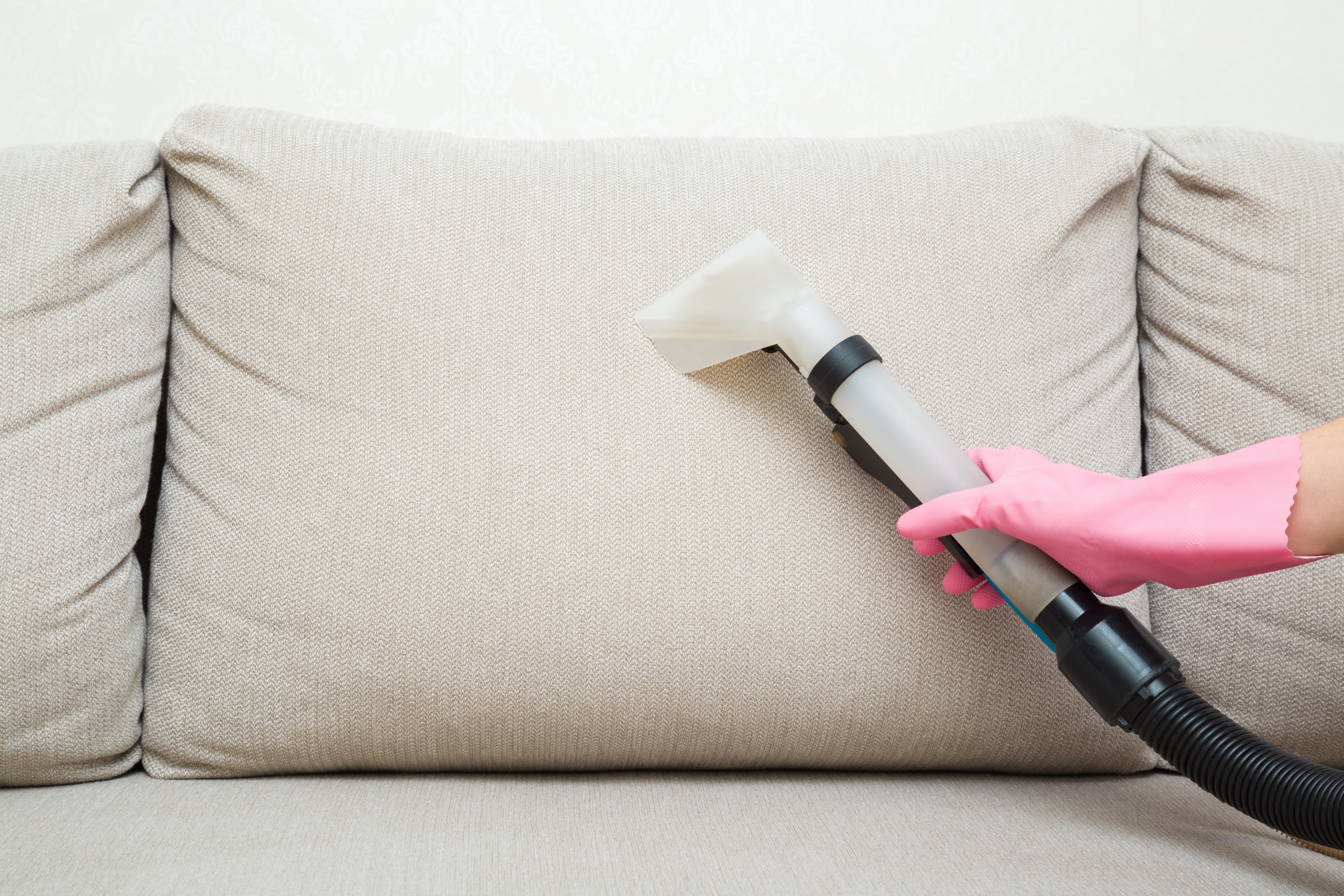 A cleaner vacuuming a couch | Source: Shutterstock