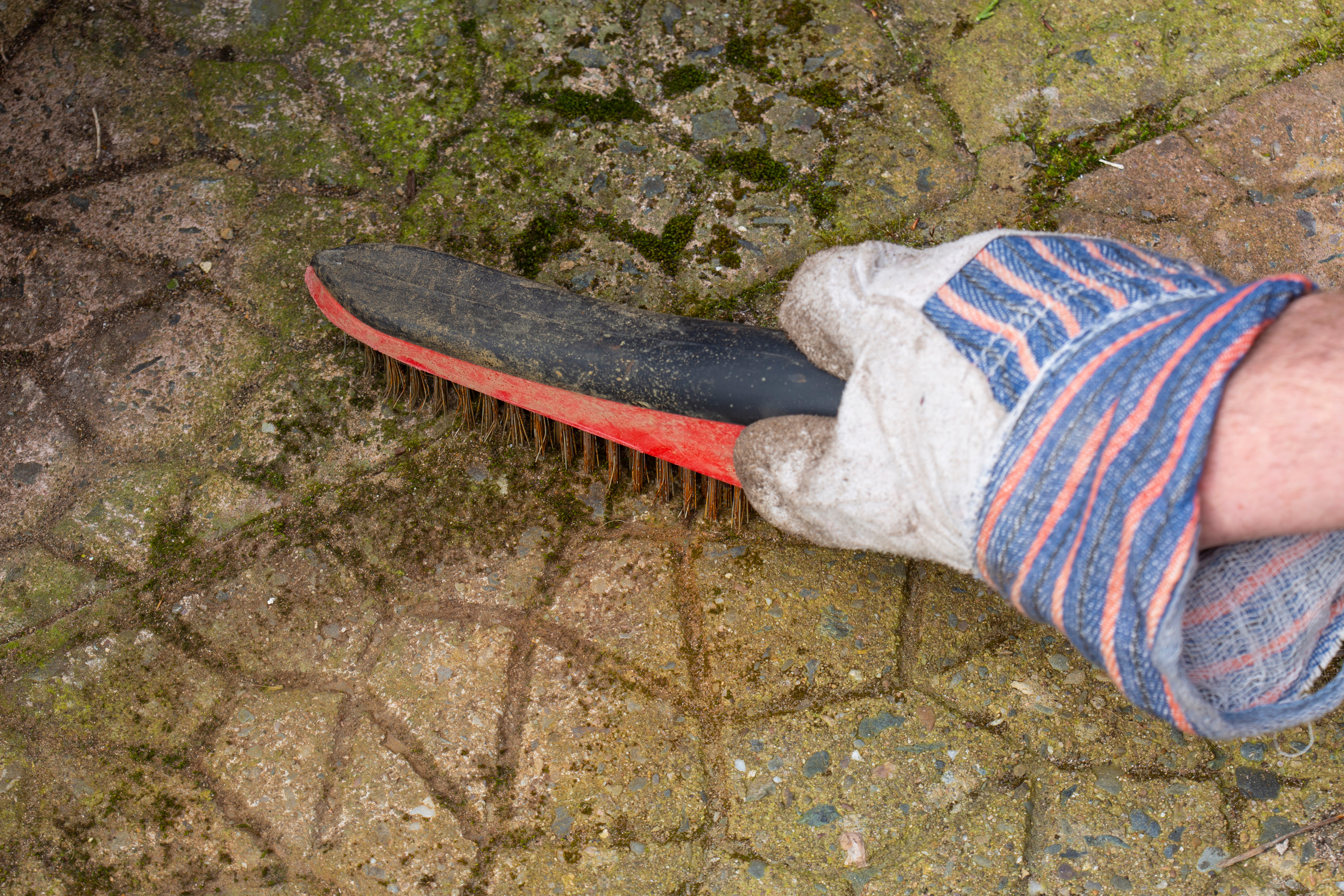 A gardener using a wire brush to scrape away moss | Source: Shutterstock