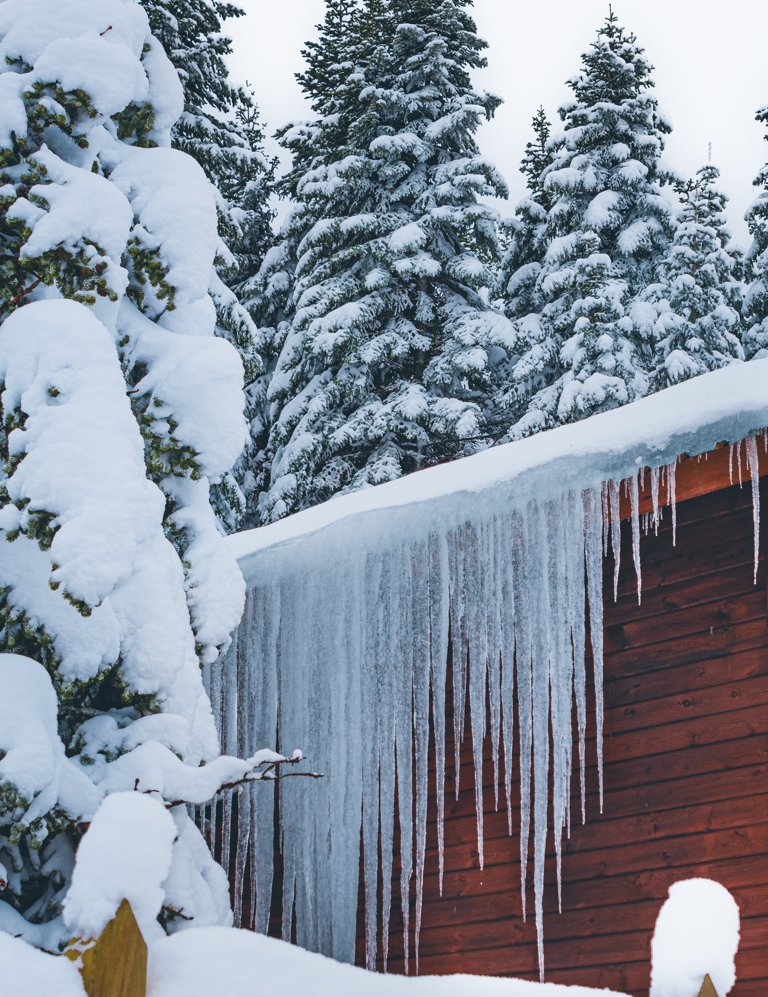 When ice melts, it can cause leaks by running down bathroom vents. | Source: Pexels