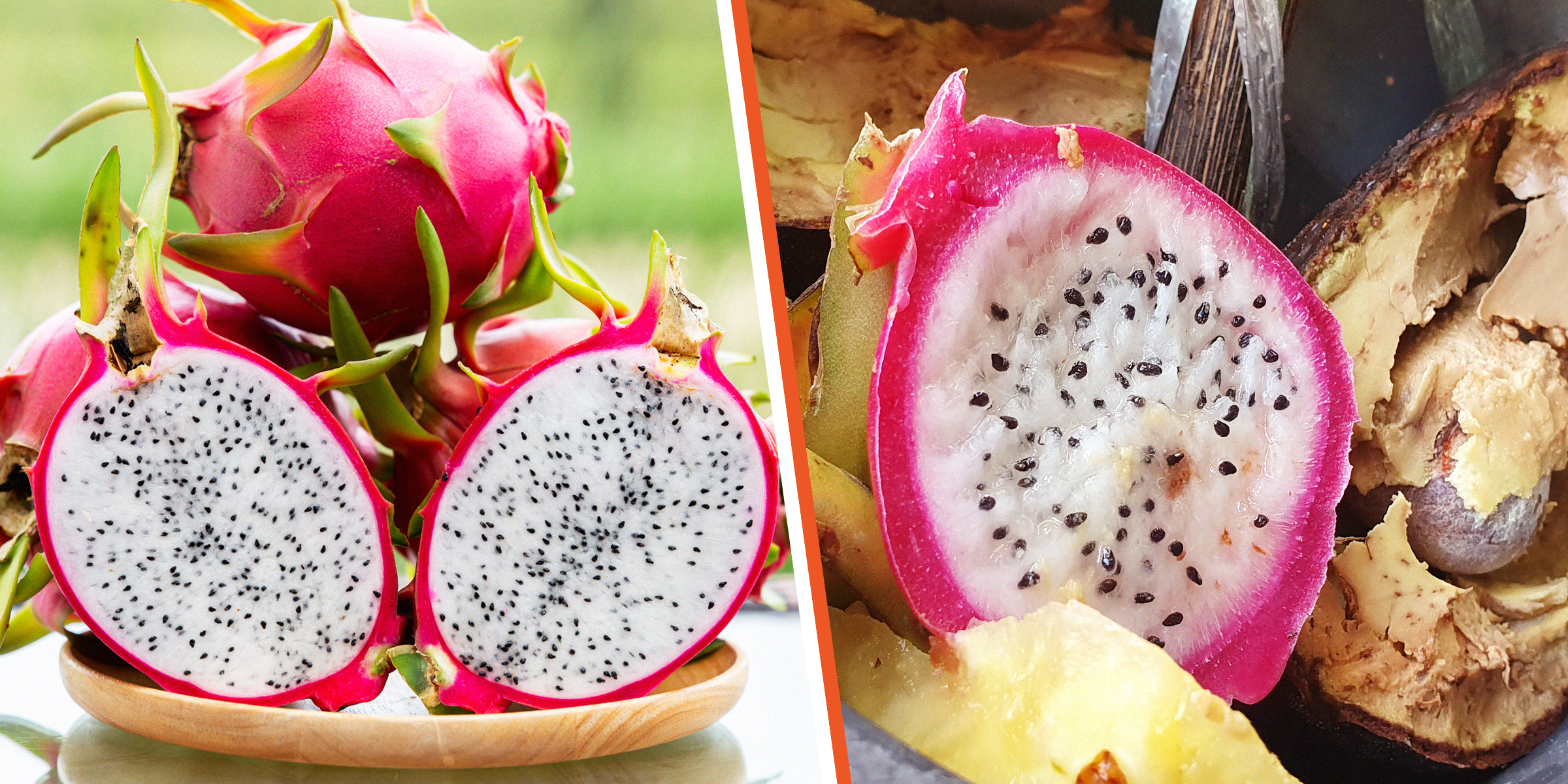 Fresh dragon fruit | Spoiling dragon fruit | Source: Shutterstock