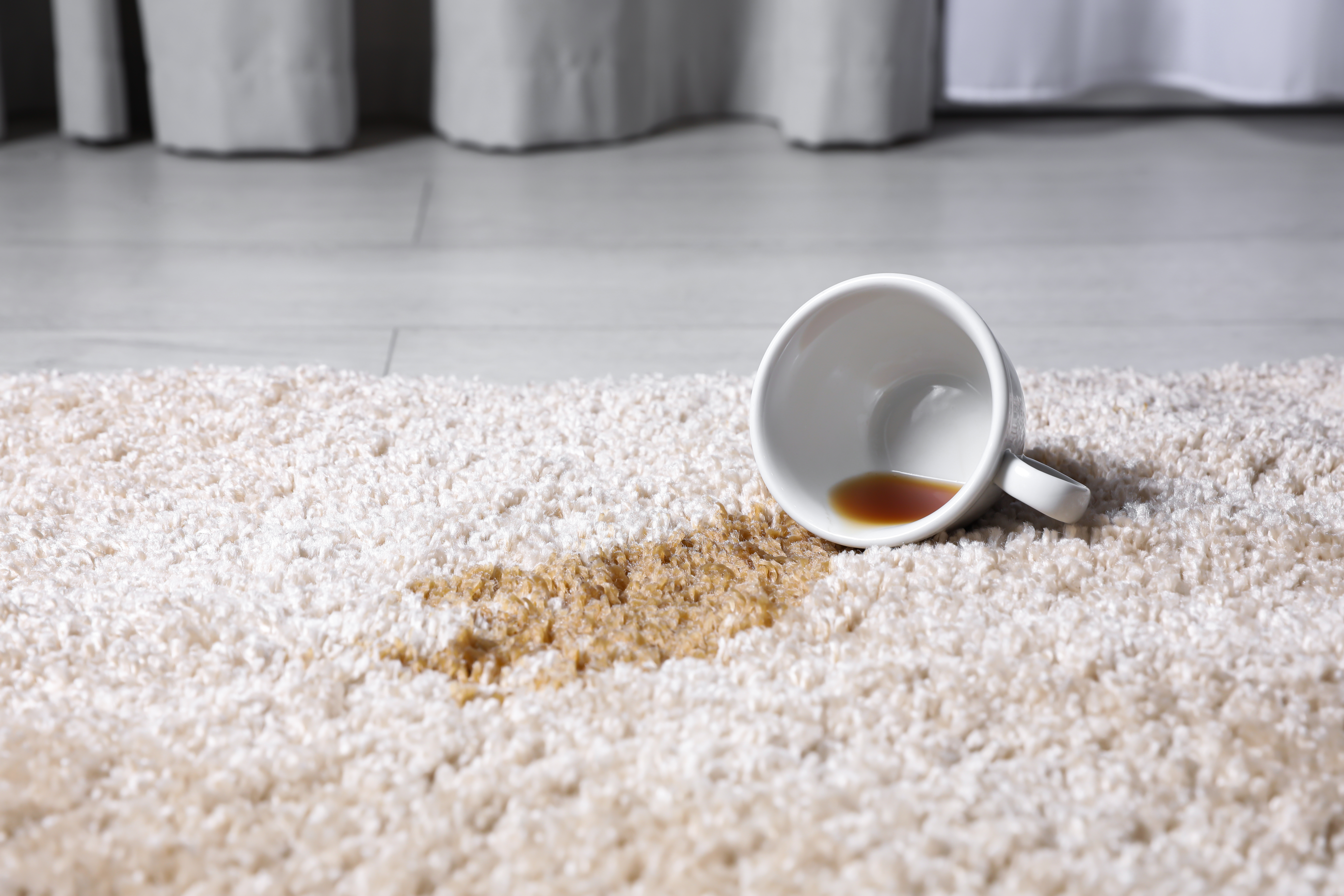 A drink spilled on a faux fur rug | Source: Getty Images