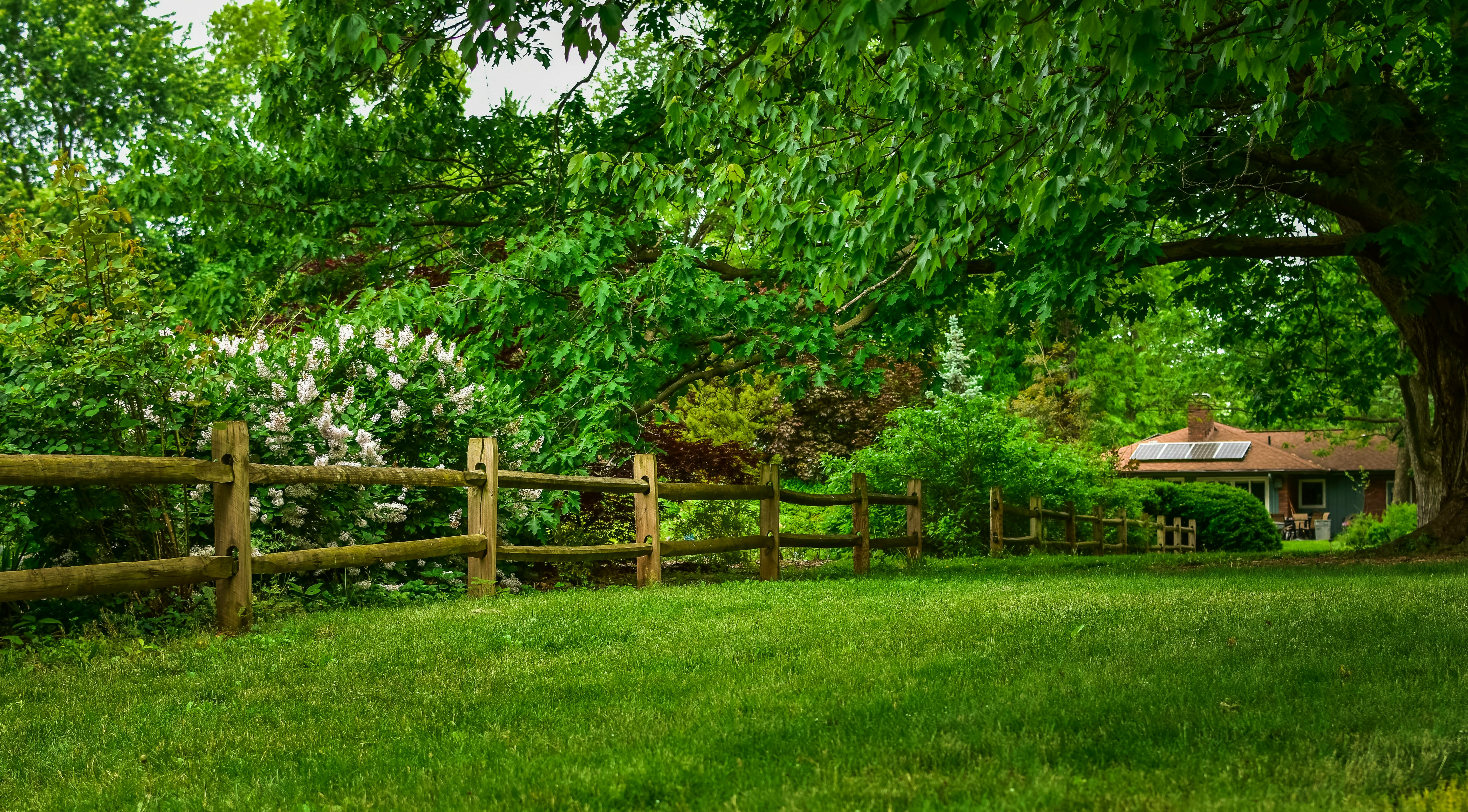 Grass field with wooden fence | Source: Pexels