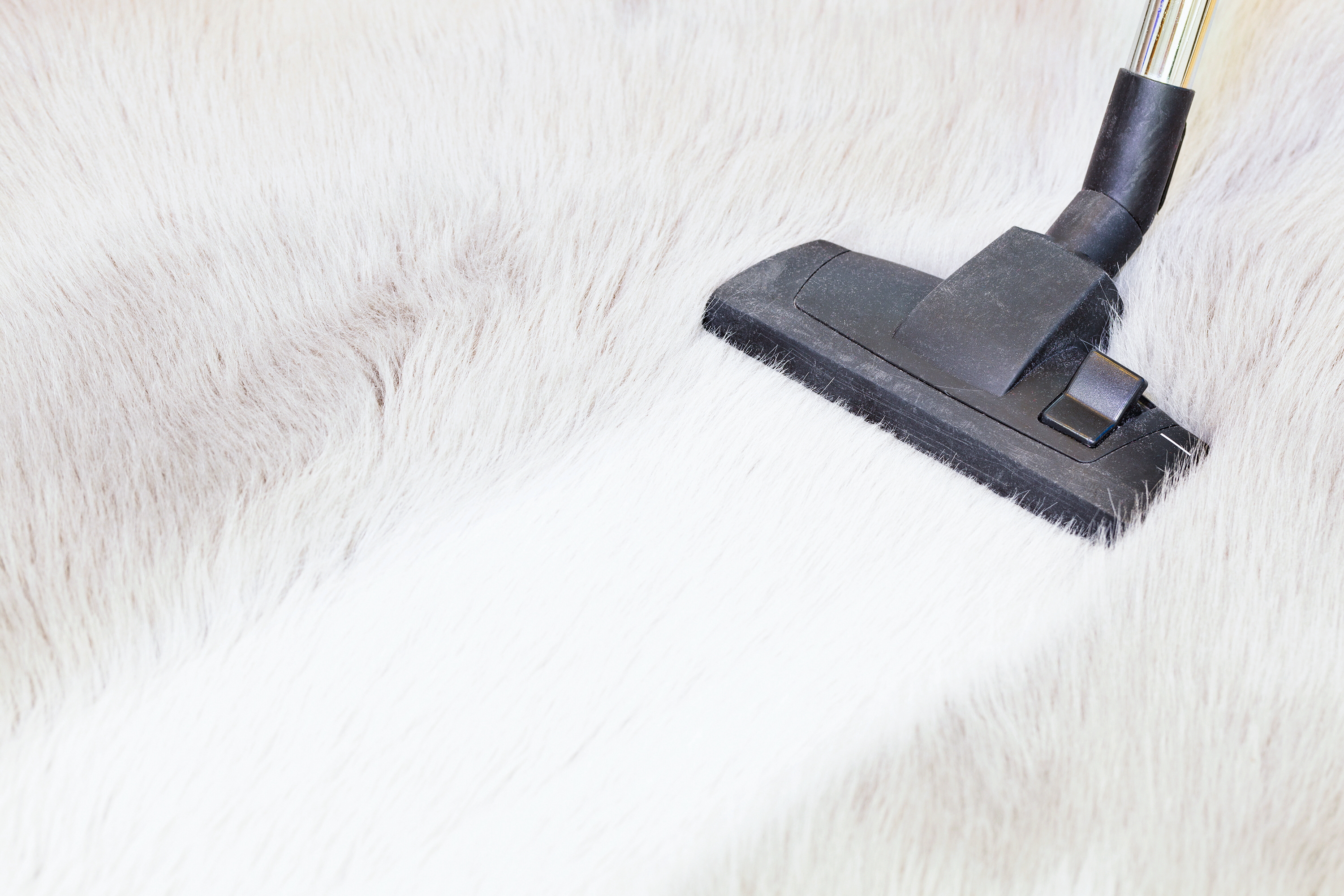 Vacuuming a faux fur rug | Source: Shutterstock