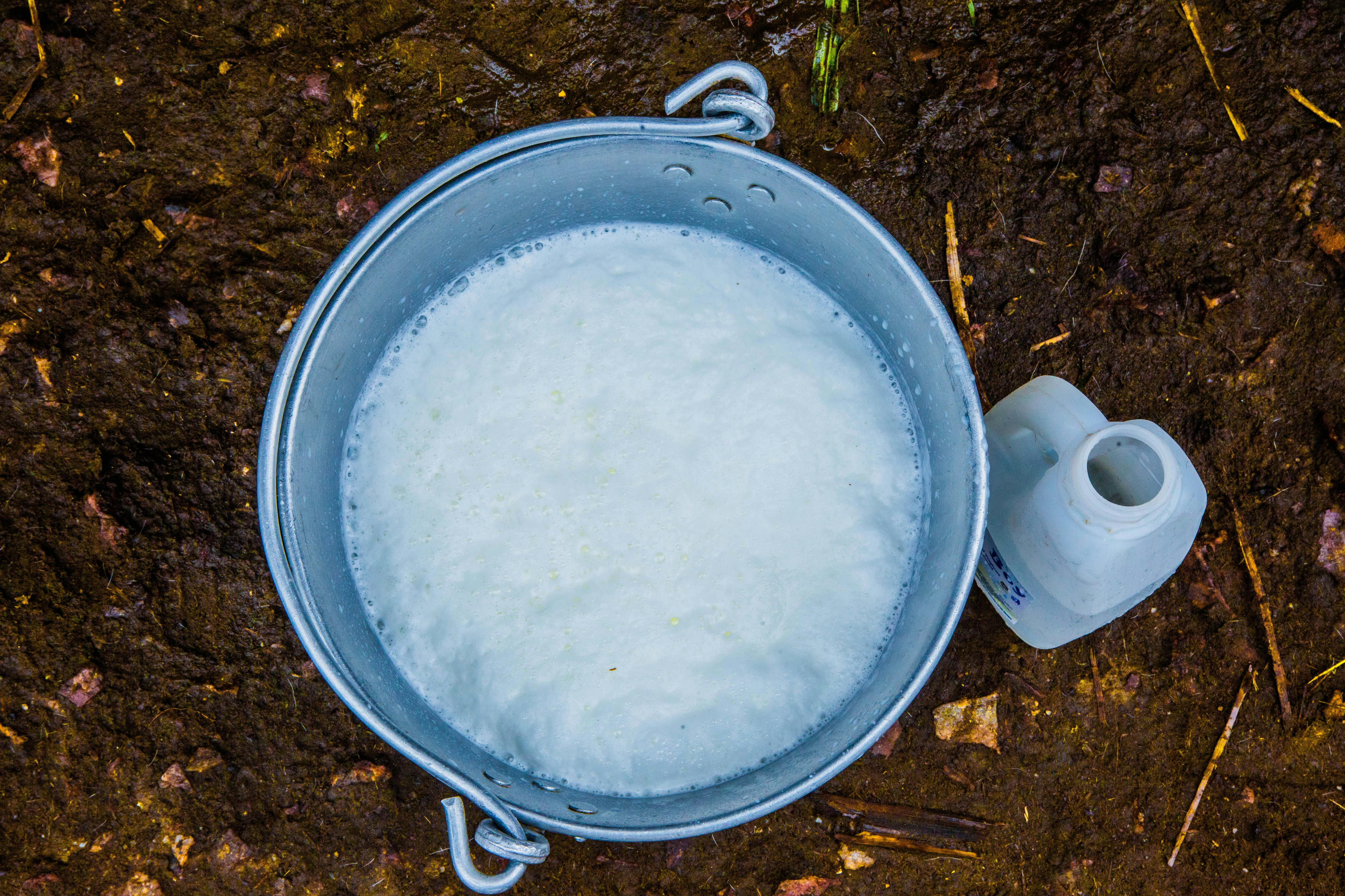 A bucket with soapy water | Source: Pexels