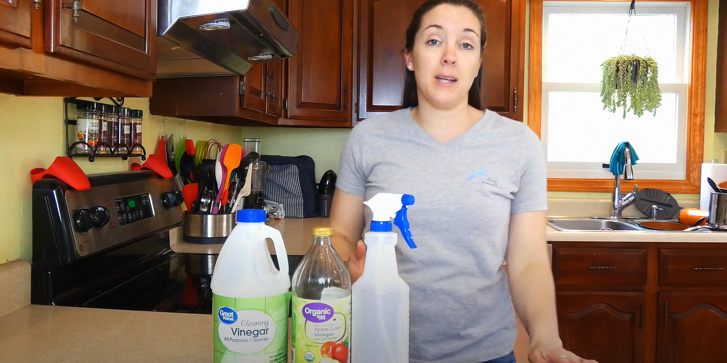 Woman making a DIY bitter spray for dogs | Source: YouTube/@Topdogtips101