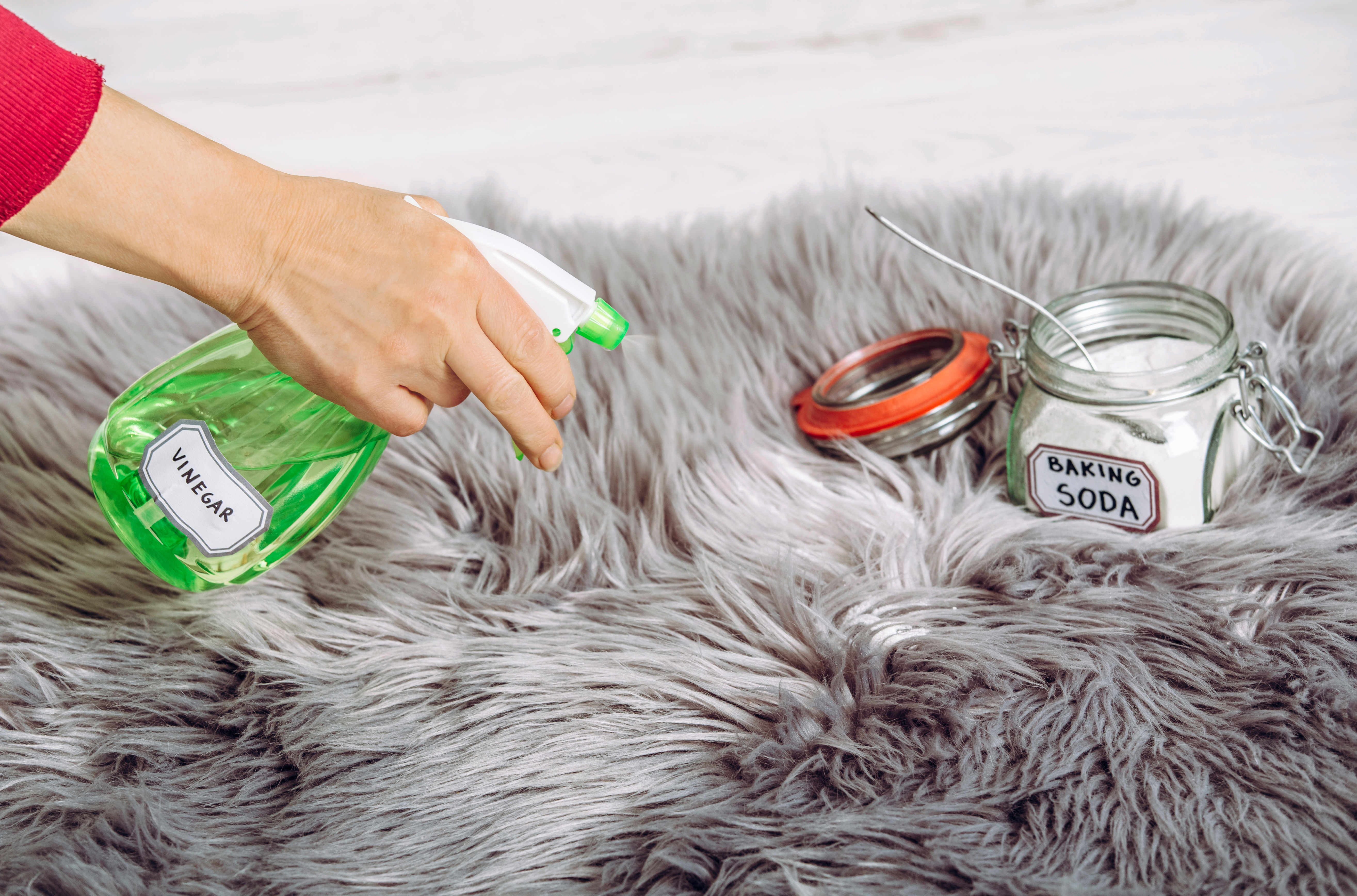 A woman using white vinegar diluted with water and baking soda to clean a faux fur rug | Source: Shutterstock