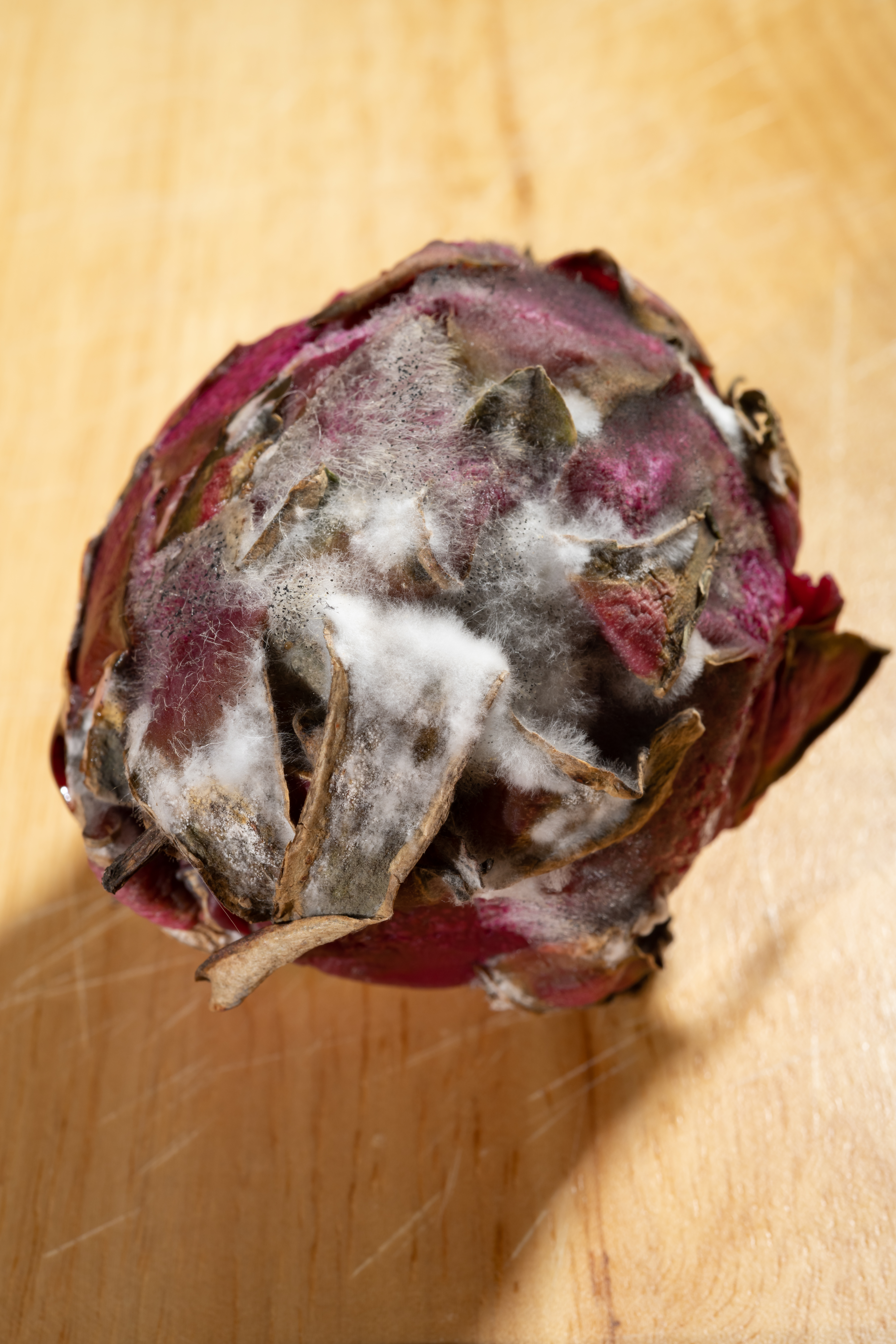 Mold is a strong indicator to discard a dragon fruit that has gone bad. | Source: Getty Images