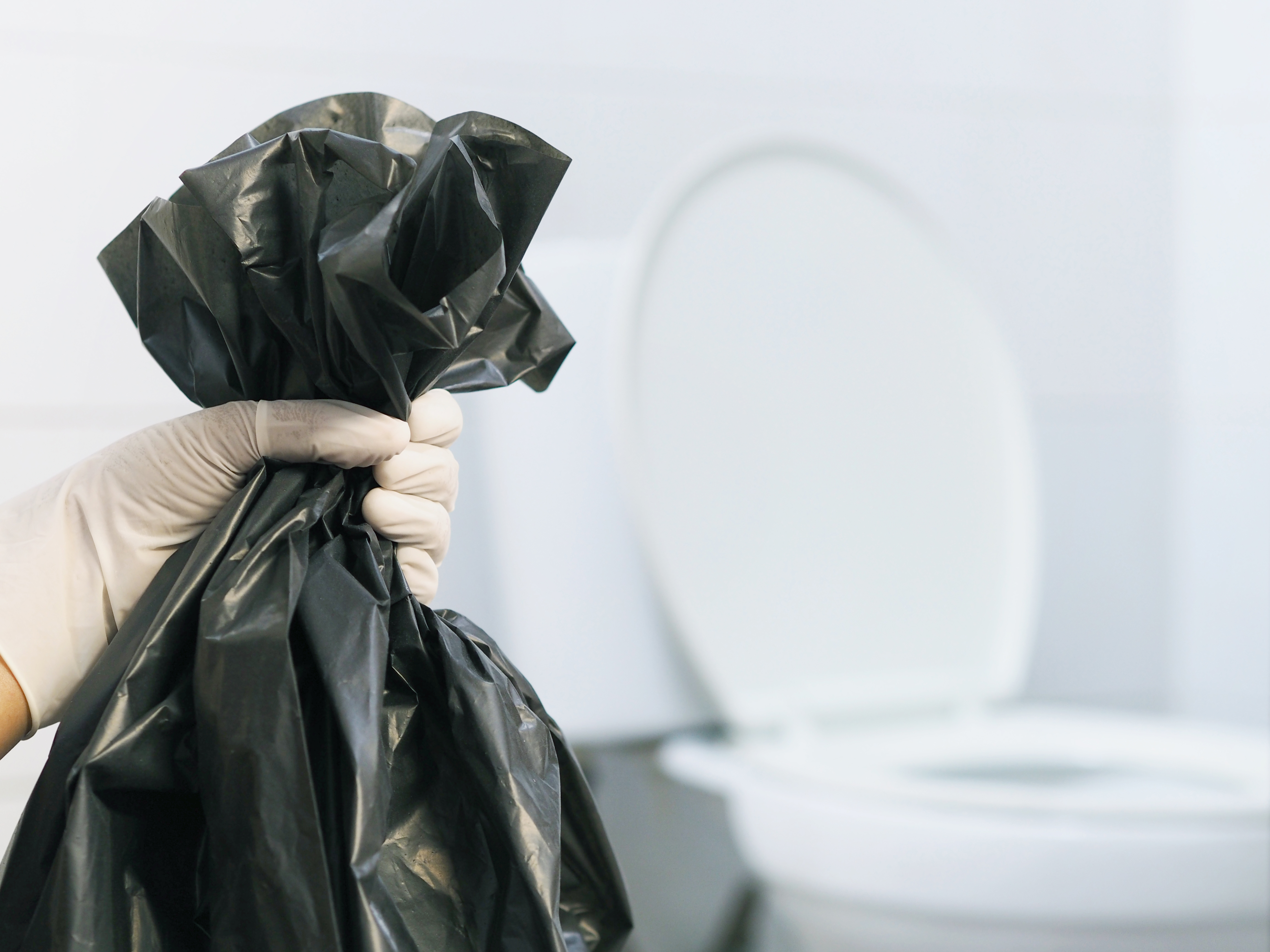 When removing deceased animals from the bathroom, make sure to wear gloves and have a trash bag ready for disposal. | Source: Shutterstock