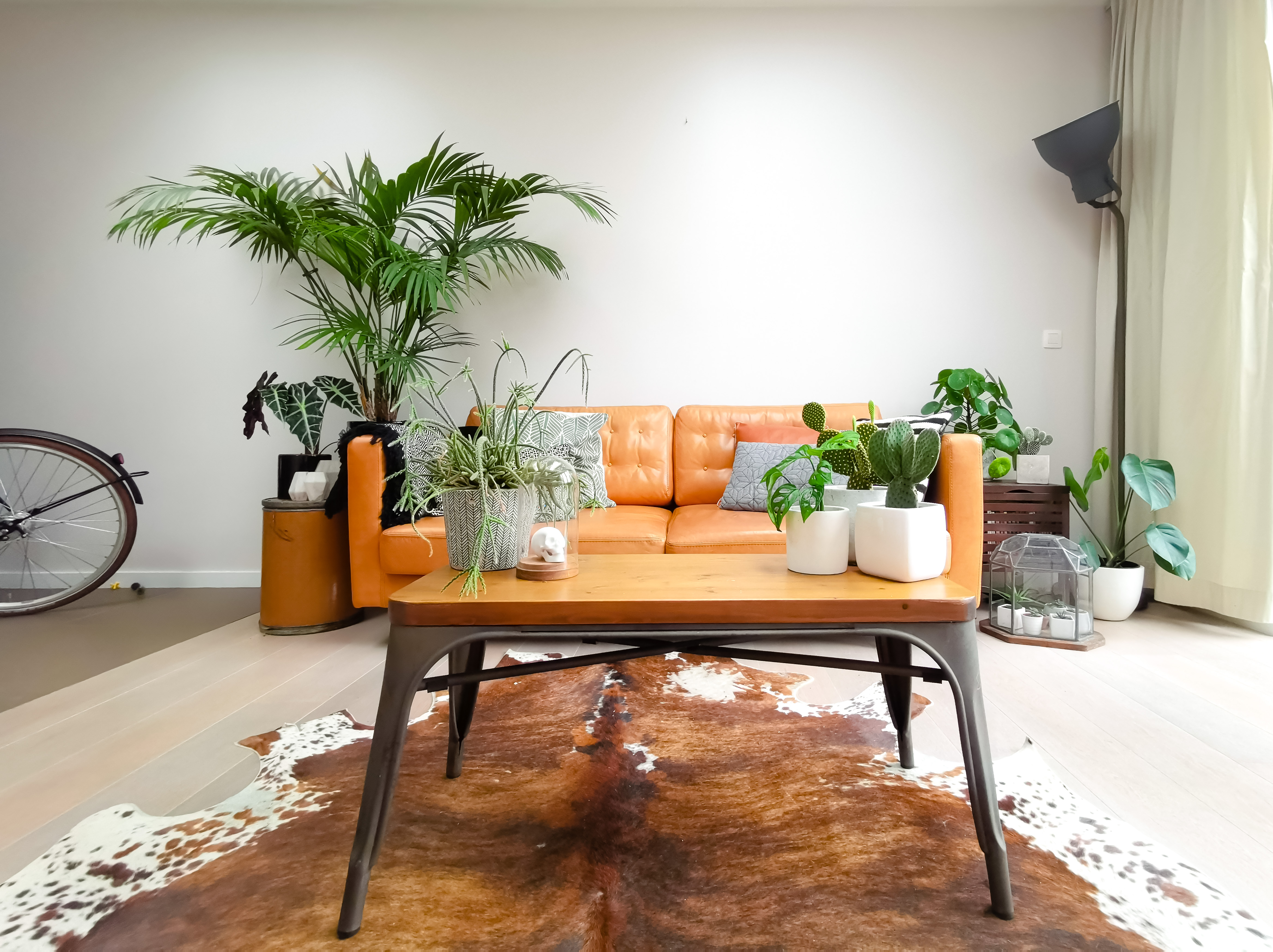A cowhide rug in a modern living room | Source: Shutterstock